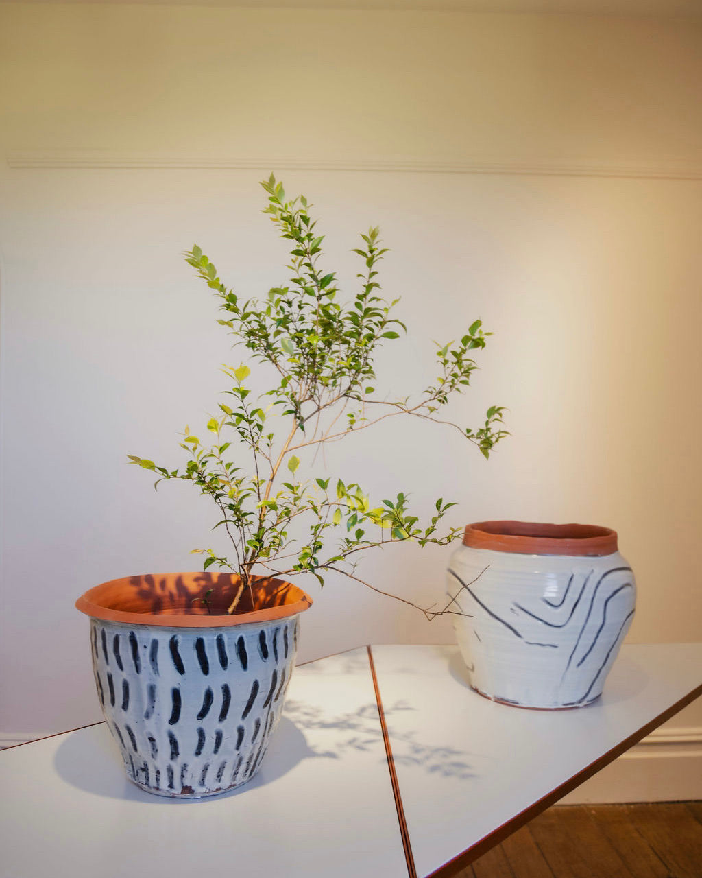 Image from the Moments of the Bay at the La Perouse Museum.  Image features 2 people looking at handmade ceramic terracotta pots made by Remy Pajaczkowski-Russell.